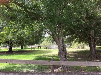 Beautiful shaded pasture fenced.