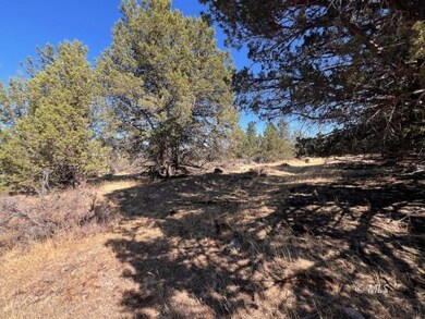 Edge of property near lake
