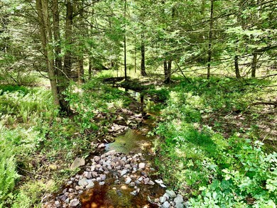 7 Billard Rd, Hawley, PA 18428 - photo 6