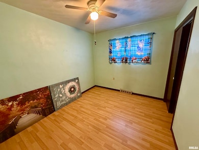 331 6th St, Colona, IL 61241 - photo 4