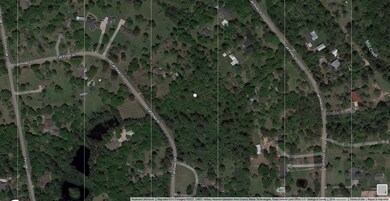 303 Tall Pines Dr, Tall Pines, TX 77354 - photo 3