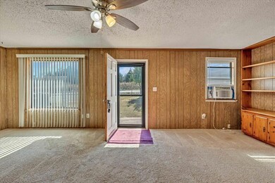 Carpeted entryway featuring wooden walls, a ceiling fan, and a textured ceiling
