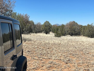 10 Ajo Jogger, Ash Fork, AZ 86320 - photo 3