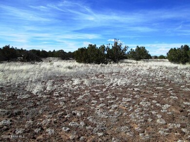 216 Couchman Trail, Ash Fork, AZ 86320 - photo 4