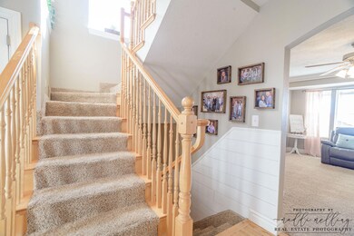 MMP_3079