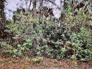 LOT 24 Campbell St, North Port, FL 34288 - photo 2