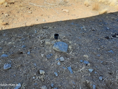 8406 W Old Highway 66, Ash Fork, AZ 86320 - photo 3