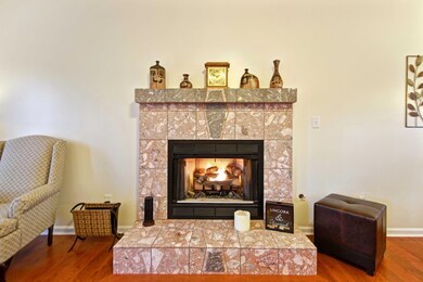 Living Room Fire Place