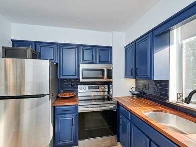 Hammond Park Condominiums unit 204, Chestnut Hill, MA 02467 - photo 6