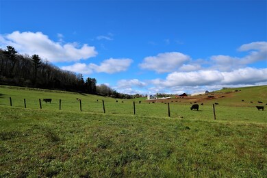 IMG_0156