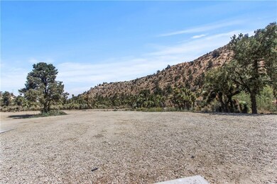 7759 Sand Canyon Rd, Pinon Hills, CA 92372 - photo 4