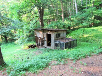 1100 Coffeytown Rd, Vesuvius, VA 24483 - photo 4