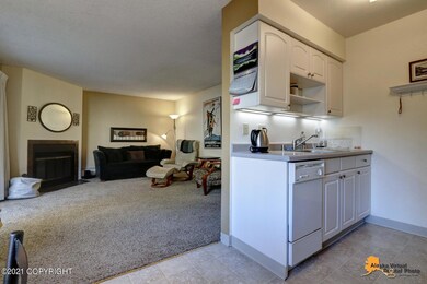 3031 Lois Dr unit 304, Anchorage, AK 99517 - photo 6