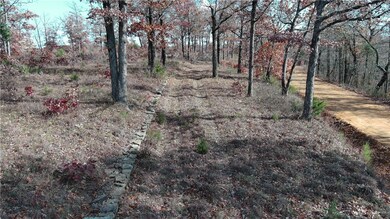 TBD Madison 3605 Rd, Kingston, AR 72742 - photo 6