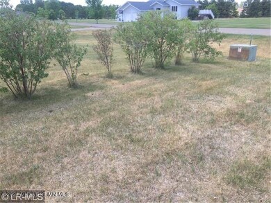 WEST LINE SHRUBS