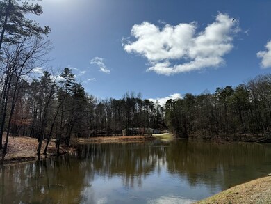 Community Pond