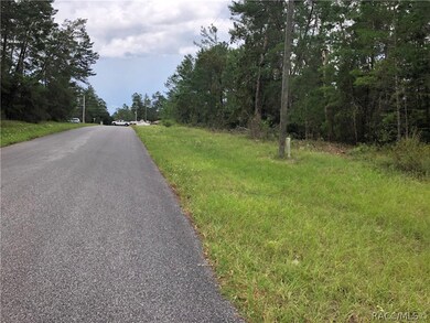 000 SW 165th St Rd, Ocala, FL 34473 - photo 6