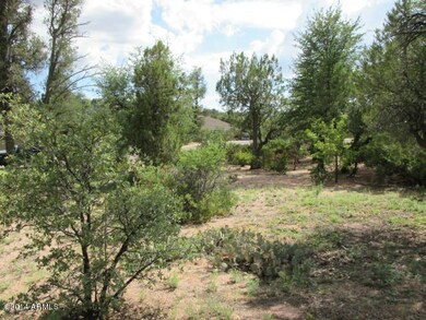 Photo 07