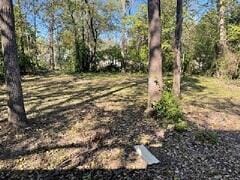 401 W Worley St, Columbia, MO 65203 - photo 2