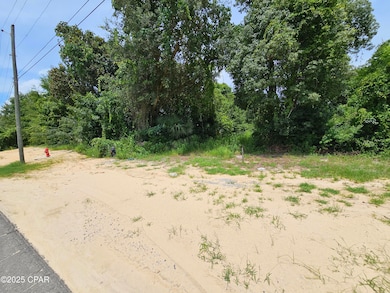 Lot 11 Everitt Ave, P C Beach, FL 32401 - photo 2