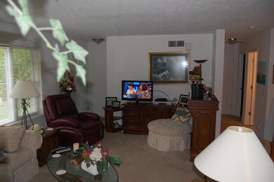 Living room and front entrance