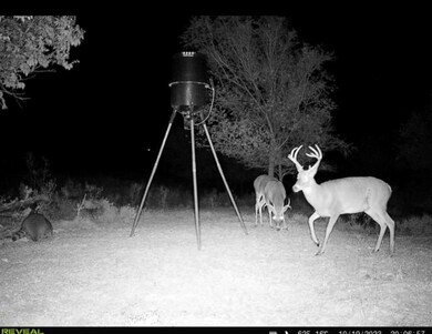 0 E 1220 Rd, Sentinel, OK 73664 - photo 6