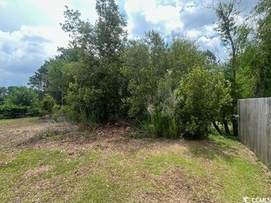 View of local wilderness
