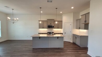 10443 Highpoint Dr, Denham Springs, LA 70706 - photo 2