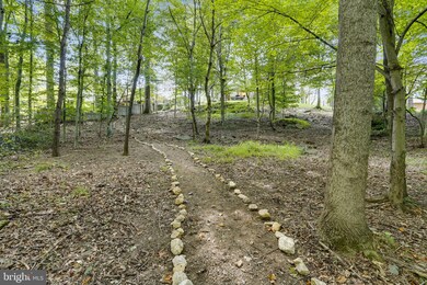 14203 Castaway Dr, Rockville, MD 20853 - photo 5