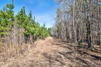 HFL_BUNKY'S NORTH-4