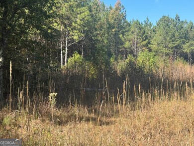 0 Perimeter Rd unit 10118660, Monticello, GA 31064 - photo 3