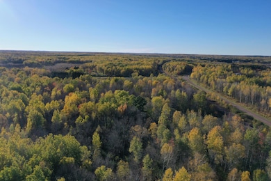 TBD Canosia Rd, Cloquet, MN 55720 - photo 2