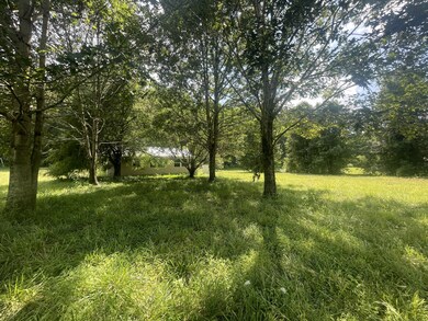 92 Field Dr, Linden, TN 37096 - photo 2