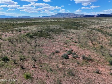 Navajo5