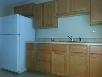 248 N 4th St, Aurora, IL 60505 - photo 3