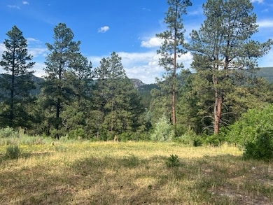 TBD Log Ridge Trail, Chama, NM 87520 - photo 3