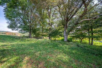 0 Pinnacle Ln, Meadows of Dan, VA 24120 - photo 4