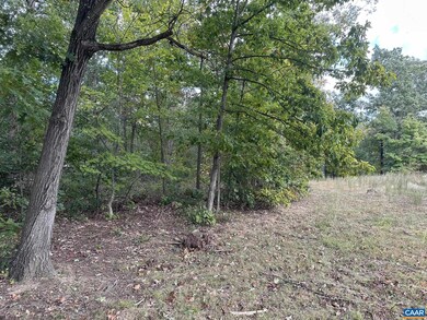 Lot 4 Constitution Hwy unit 4, Orange, VA 22960 - photo 4