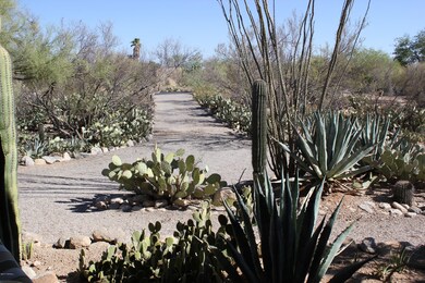 Driveway1