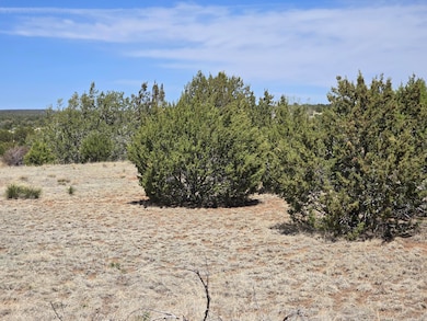 0 County Rd A-102 unit 14, Tajique, NM 87016 - photo 6