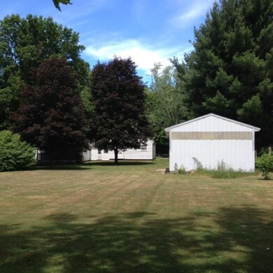 Back yard