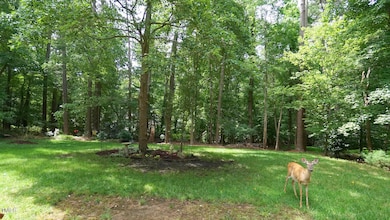 12037 Deer Run, Raleigh, NC 27614 - photo 4