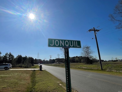 Lots Jonquil, East Camden, AR 71701 - photo 2