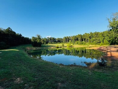 75 Leonard Holmes Rd, Tylertown, MS 39667 - photo 6