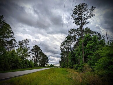 View to the South along HWY 159