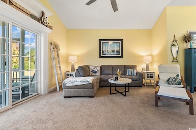 228 Palm Cove Cir, Myrtle Beach, SC 29588 - photo 6