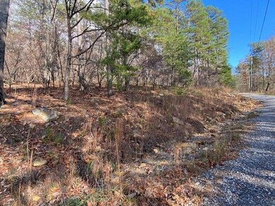 0 Quail Way unit 7685106, Jasper, GA 30143 - photo 4