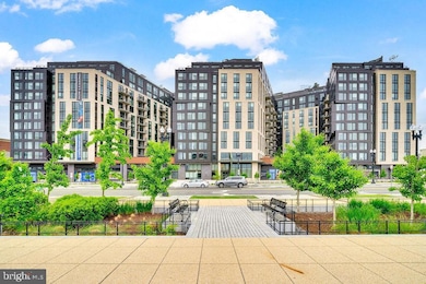 113 Potomac Ave SW unit 1100, Washington, DC 20024 - photo 2