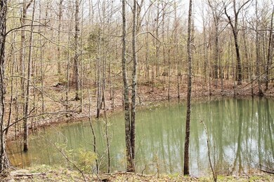 0 Madison 5540 unit 1088702, Elkins, AR 72727 - photo 6