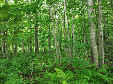 313 1 4 St, Rice Lake, WI 54868 - photo 6